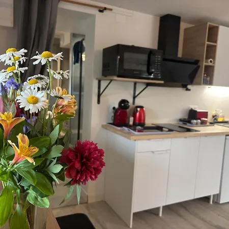Independent With Terrace And Garden * 普瓦捷