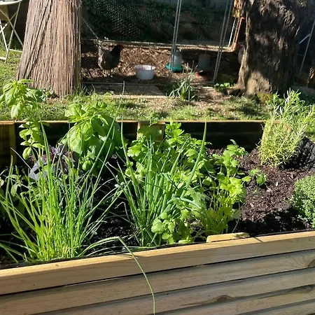 公寓 Independent With Terrace And Garden *