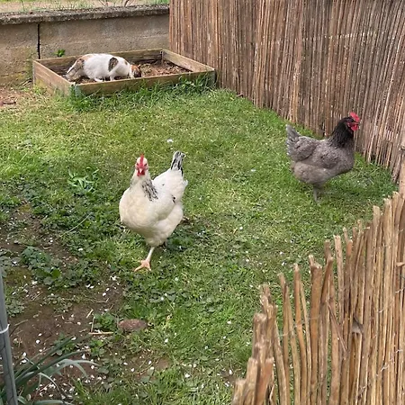 Independent With Terrace And Garden 普瓦捷
