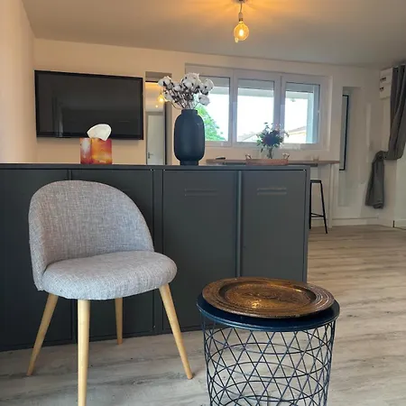 Independent With Terrace And Garden 普瓦捷